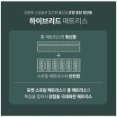 에이스브리스 - 수원시 팔달구 경수대로 597 | 지누스 SS 트리샤 철제 프레임 + 그린티 하이브리드 매트리스 20cm 직접설치 후기