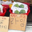귀여운 애 볼수록 집중력 올라간다