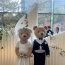 성산축사 | 창원컨벤션센터 (CECO 세코) 웨딩 하객으로 참석