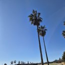 테디벨리 | 테디벨리CC 바람 실화? 제주 골프 멘탈 탈곡 라운드 후기