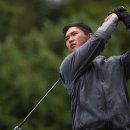 리코(rico) 이미지