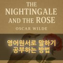 안녕 나이팅게일 | [원서 읽기] 오스카 와일드의 나이팅게일과 장미 The nightingale ane the rose