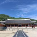SK뷰(아) 경로당 | 수원 혼자 가도 좋은 5곳, 진짜 추렸어요