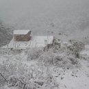 산골집 Daum카페