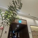 헬스케어 | 건강검진 하나로리더스헬스케어 후기, 수면내시경 MRI (MRA) 피어싱 안뺀 후기