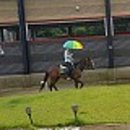 블루홀스 승마센터 이미지