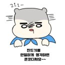 Dear My Pet 이미지