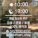 코코마리(coco mari) | 대구 동구 봉무동 이시아폴리스 강아지 미용, 코코마리 요크셔테리어 스포팅 반려견 미용