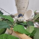 회복지압원 이미지