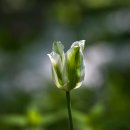 오동목장 이미지