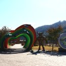 청도레일바이크 이미지