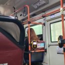 신화여객 이미지