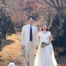 스튜디오 숲 | 강아지와 함께 한 더숲 스튜디오 촬영 동행 후기