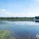 삽교천 낚시터 이미지