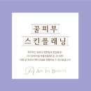 차스킨 이미지