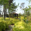 천안신안초등학교 이미지