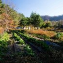 필례산장 이미지