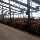 삼형제 한우농장 이미지