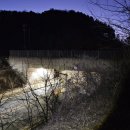 구룡달전로 Daum카페