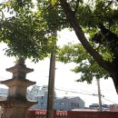 진교면사무소 이미지