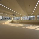 수지애견 이미지