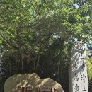 스테이보보 | 부산 1박 2일 여행 (초량밀면, 해동용궁사, 스카이캡슐, 해운대시장 먹거리 추천)