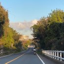 금앤옥통나무팬션 이미지