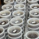 먼치샌드위치 이미지