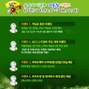 숲속의 이글루 이미지