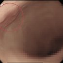 성모우리내과의원 이미지