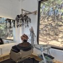 라뷰티헤어 | 강릉 홍제동 라뷰티헤어에서 엄마 콘디 콜라겐 셋팅펌 후기 자연스럽고 윤기 가득한 변화