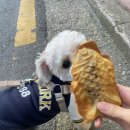 두리세탁소 이미지