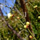 산중농원 이미지