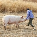 태균농장 이미지