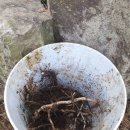 부실농장 이미지