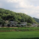 닭실민박 Daum카페