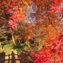 지에스엘 이미지