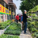 풍성농약사 이미지