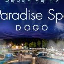 파라다이스스파도고 이미지