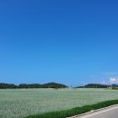 임자 관광안내소 이미지