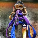 와이번 주짓수 합기도 이미지