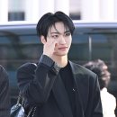 성화 뉴스엔