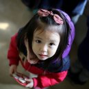 대관령 아기동물농장 이미지