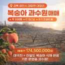 솔라공인중개사사무소 이미지
