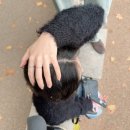 선아민박 | London🇬🇧