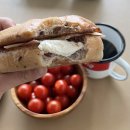 해피캠핑장 이미지