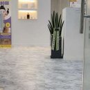 블랑드바비 이미지