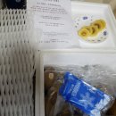국가대표과일촌 | 국가대표 과일촌