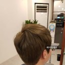 헤어팔레트 이미지