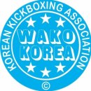 팀혼주짓수